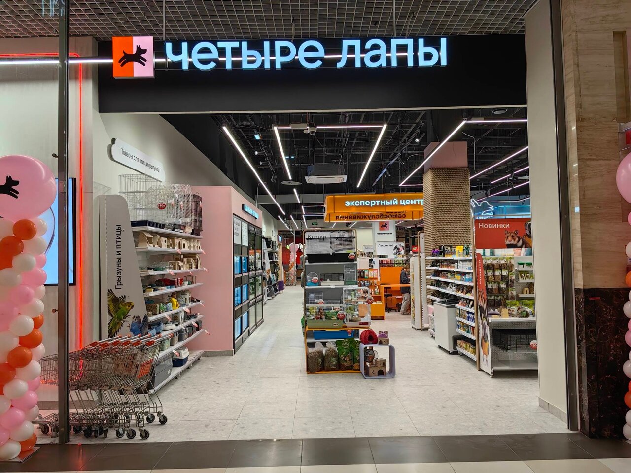 Четыре Лапы - фото 3