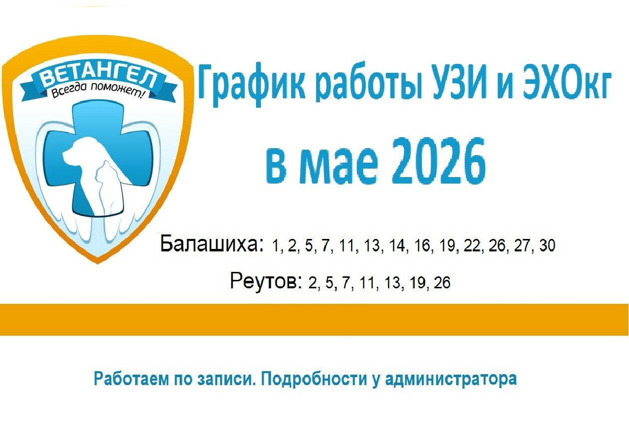 ВетАнгел - фото 21