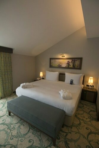 Гостиница Radisson Blu Hotel, Ordu в Алтынорду