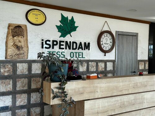 Гостиница Ispendam Tess Hotel в Мачке