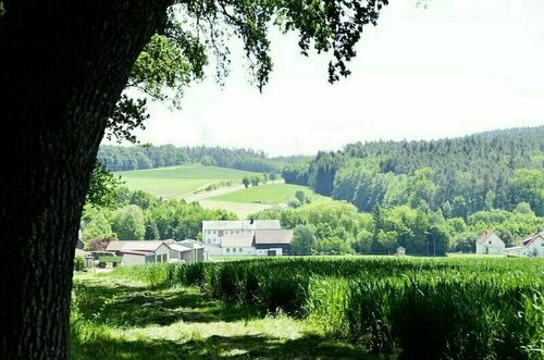 Гостиница Hotel-Gasthof Am Forsthof в Зульцбах-Розенберге