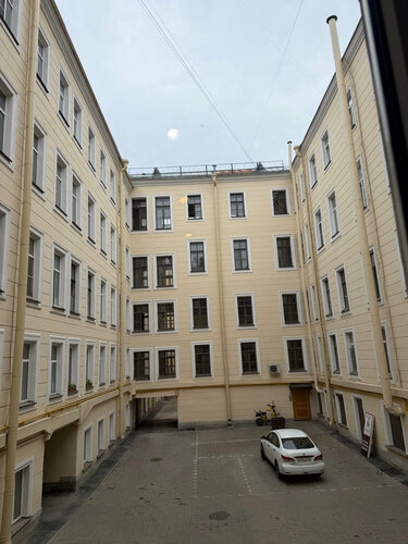 Лайка на Московском — фото 4