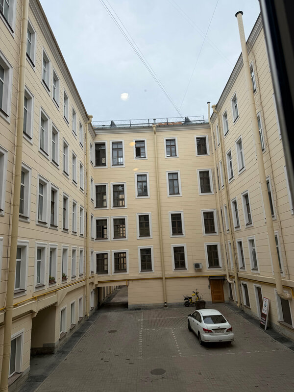 Лайка на Московском — фото 4