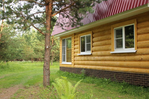 Домики в лесу