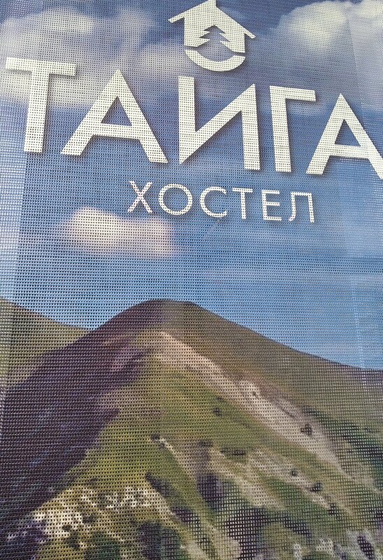 Тайга — фото 4