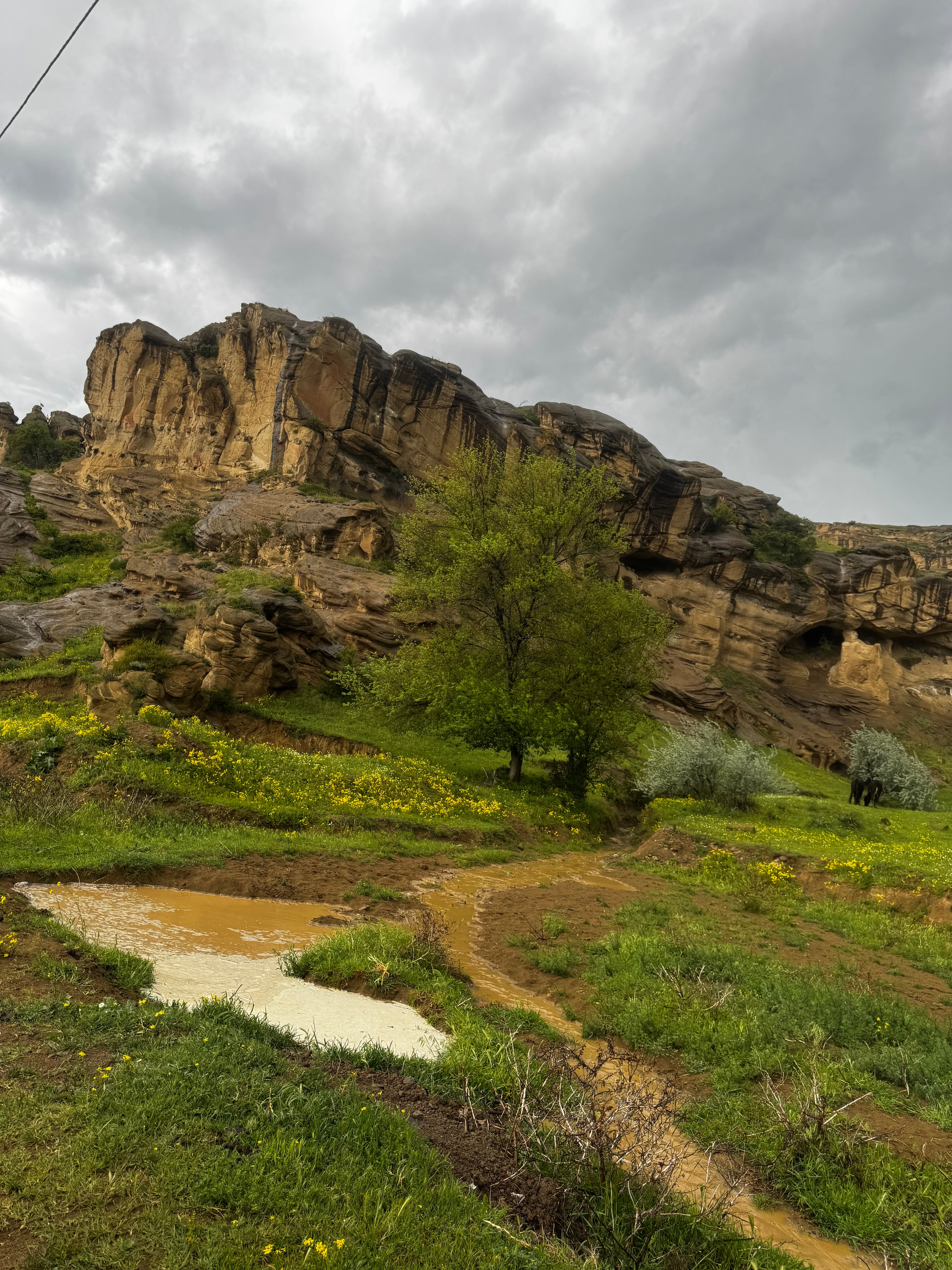 Hotel Aragvi - 8