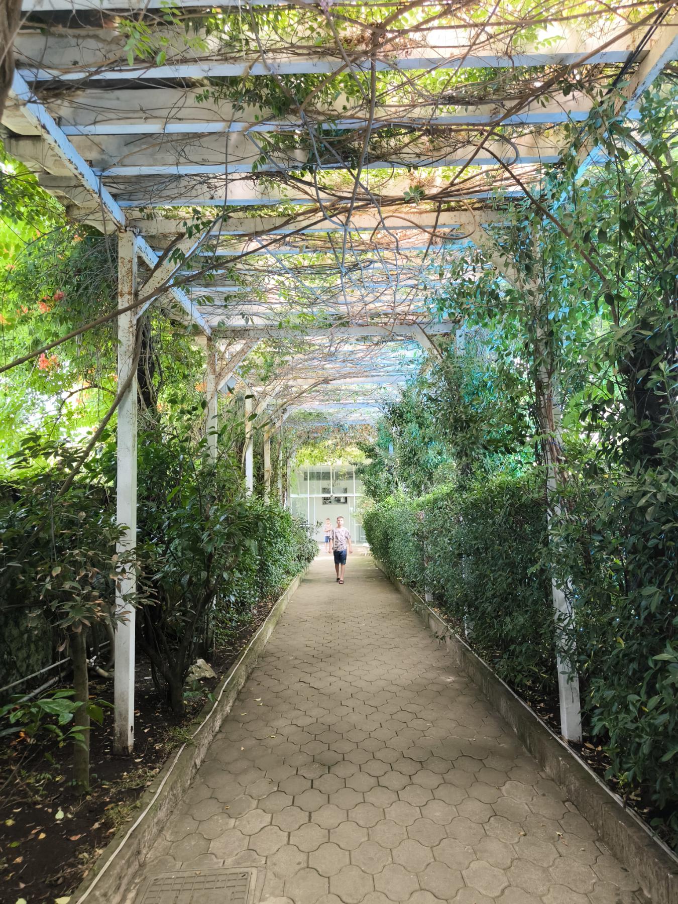 Фото 160789207254