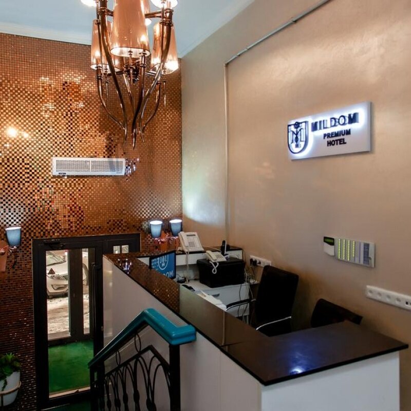 Фото Mildom Premium