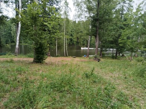 Дом в аренду Домик на берегу в Богданове