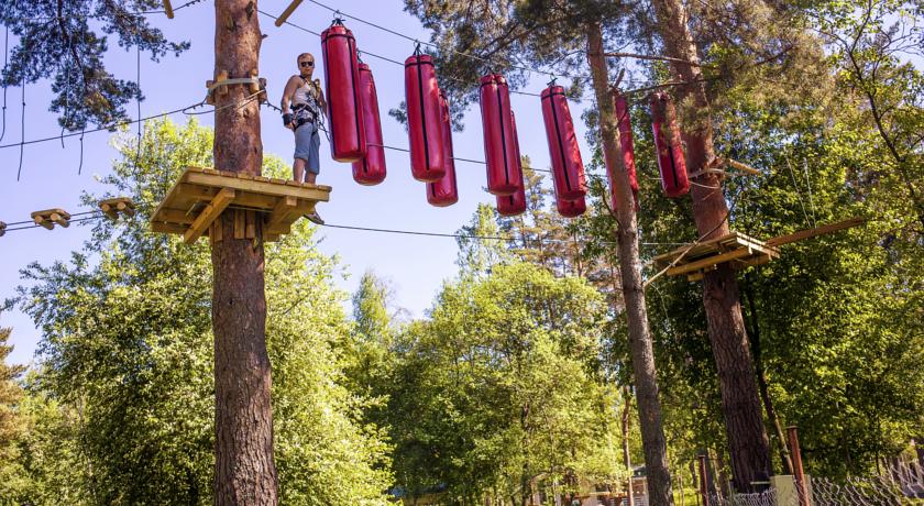 Фото Лосевода