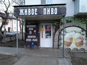 Zhivoye pivo (Kursk, mikrorayon Kurskogo Zavoda Traktornykh Zapchastey, ulitsa Deyneki, 4), beer shop