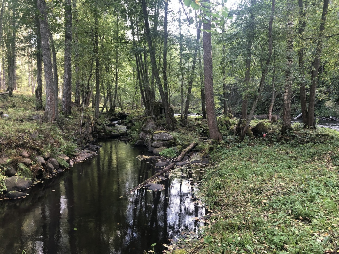 Фото Вилла Тайм