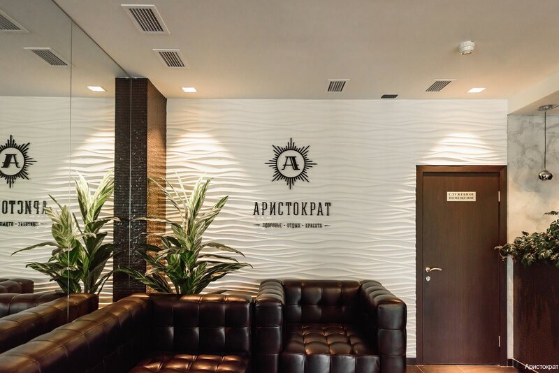 Фото Аристократ