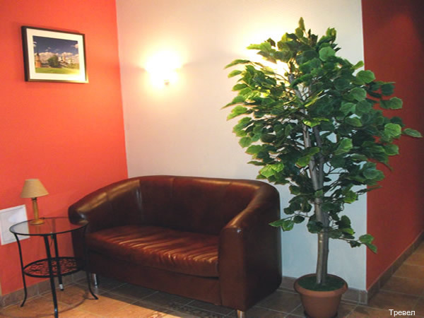 Фото Тревел