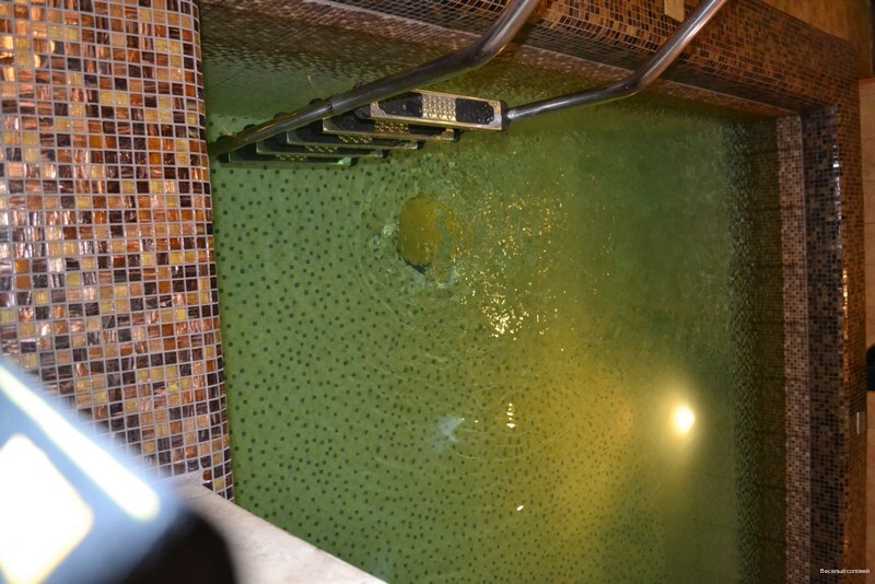 Фото Веселый соловей