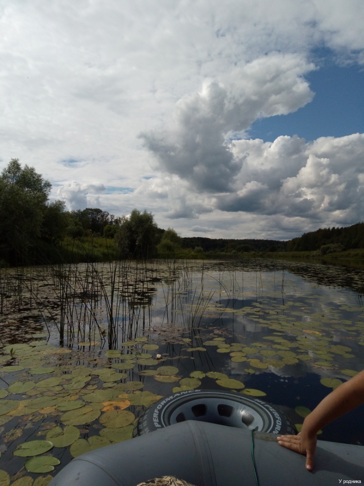 Фото У родника