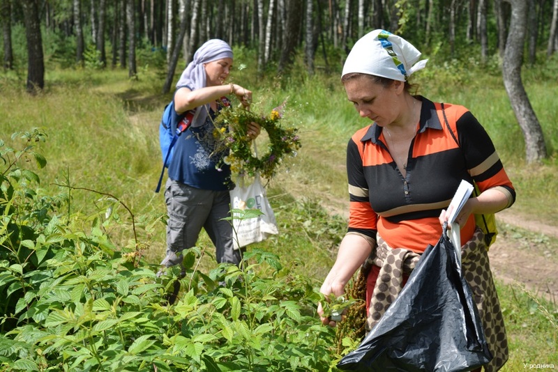 Фото У родника