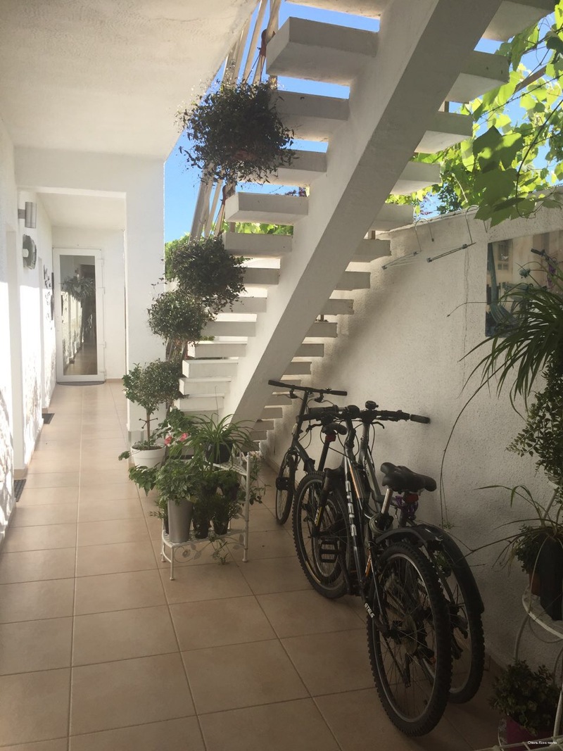 Фото Константа