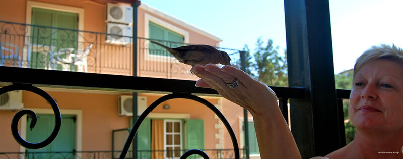 Фото Philippos Apartments