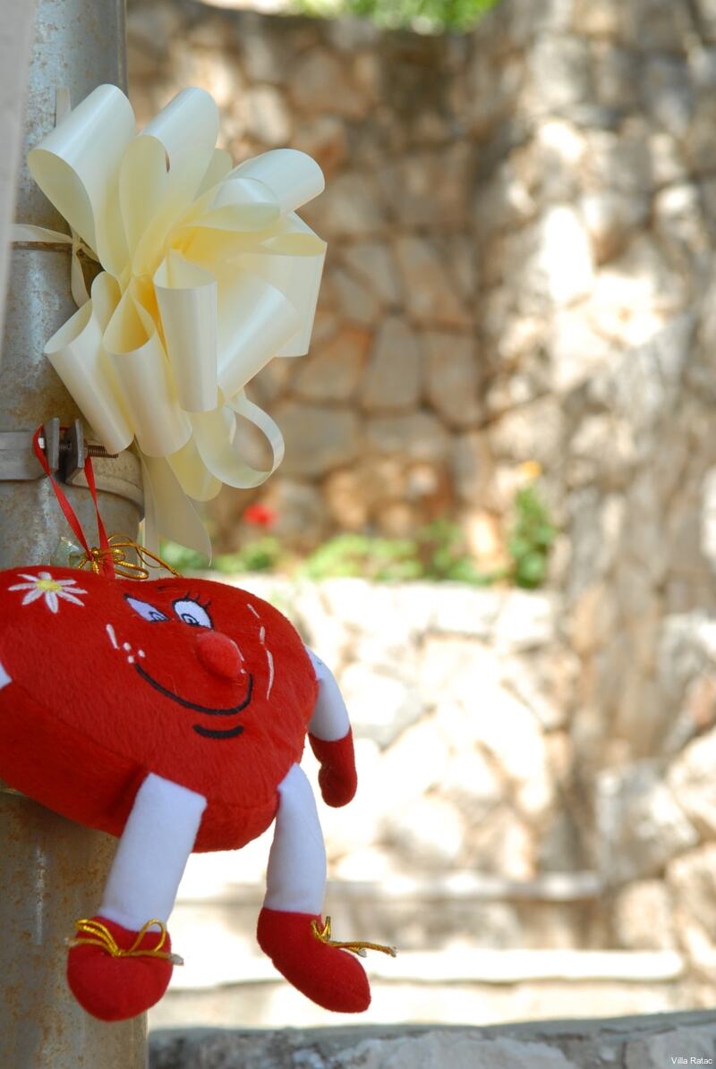 Фото Villa Ratac