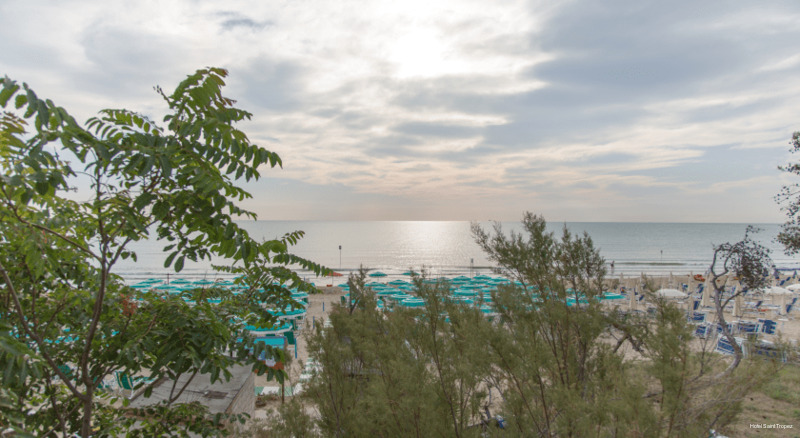 Фото Hotel Saint Tropez