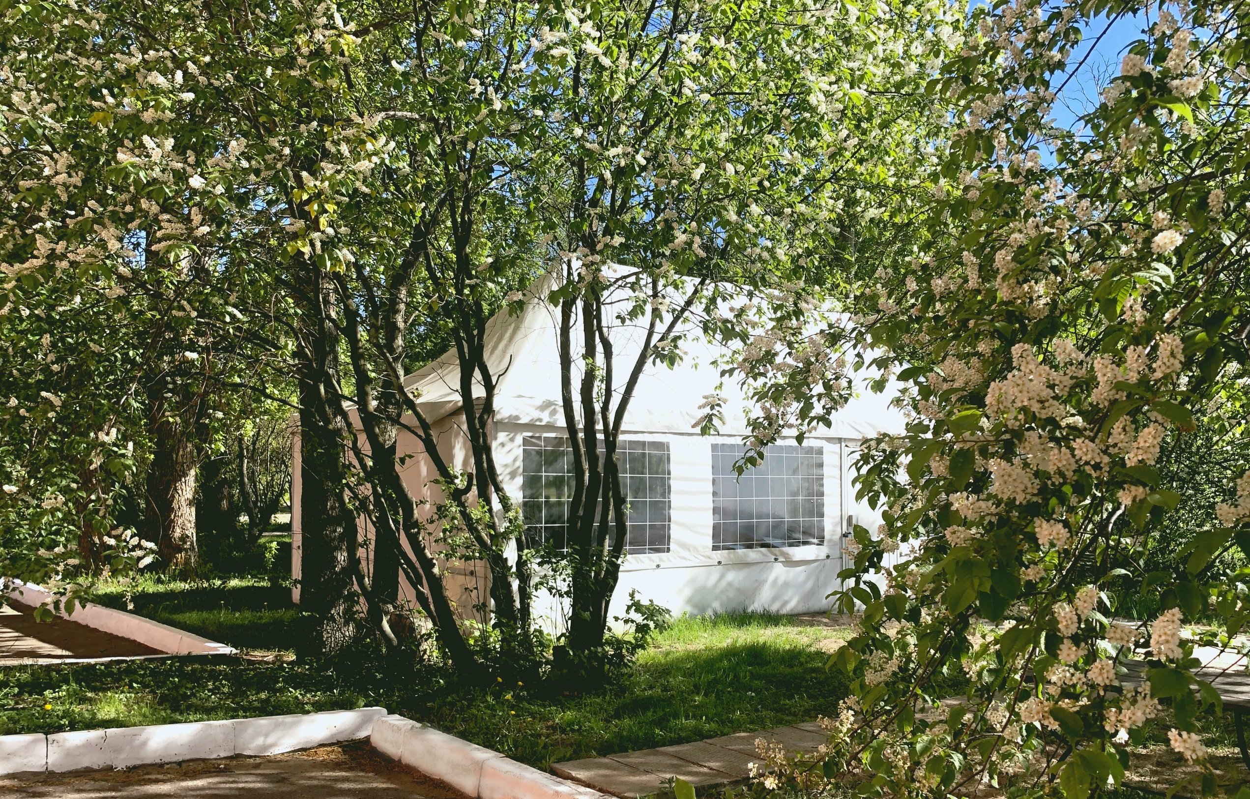 Фото Кантри