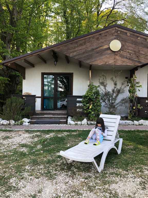 Фото Лесное царство