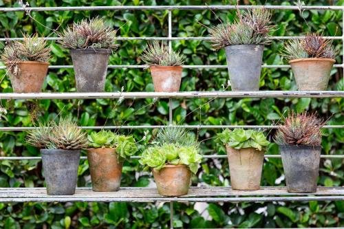 Фото Lexden Guesthouse