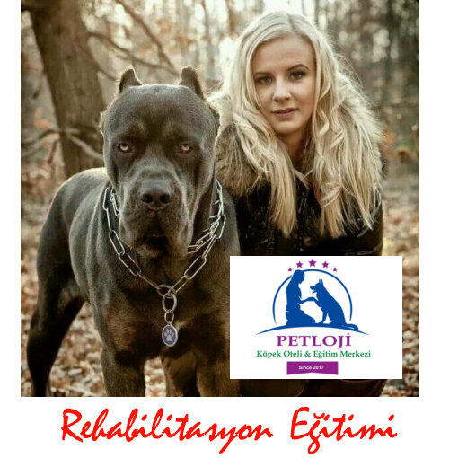 Petloji Köpek Oteli &amp; Eğitim Merkezi, hayvan barınakları, kulüpleri ve