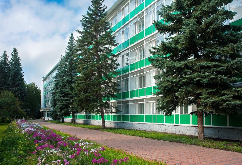 Фото Зеленая роща