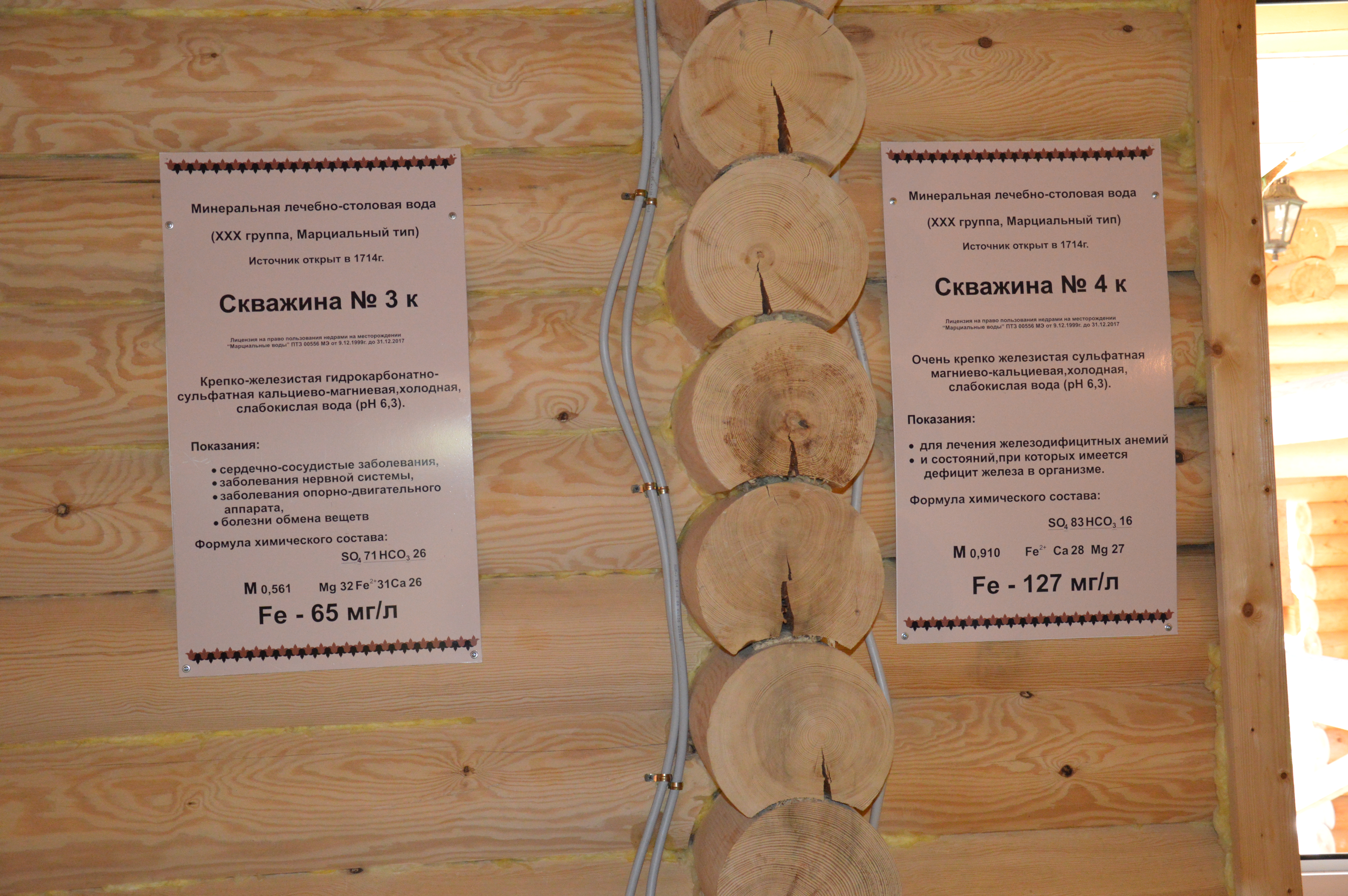 Фото Марциальные воды