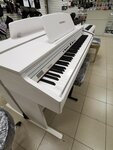 MuzTon (Novosibirsk, Karla Marksa Avenue, 57) ، music store