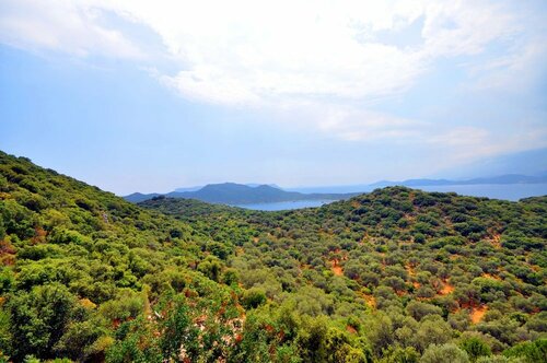 Апартаменты Olivia Homes Kaş в Каше