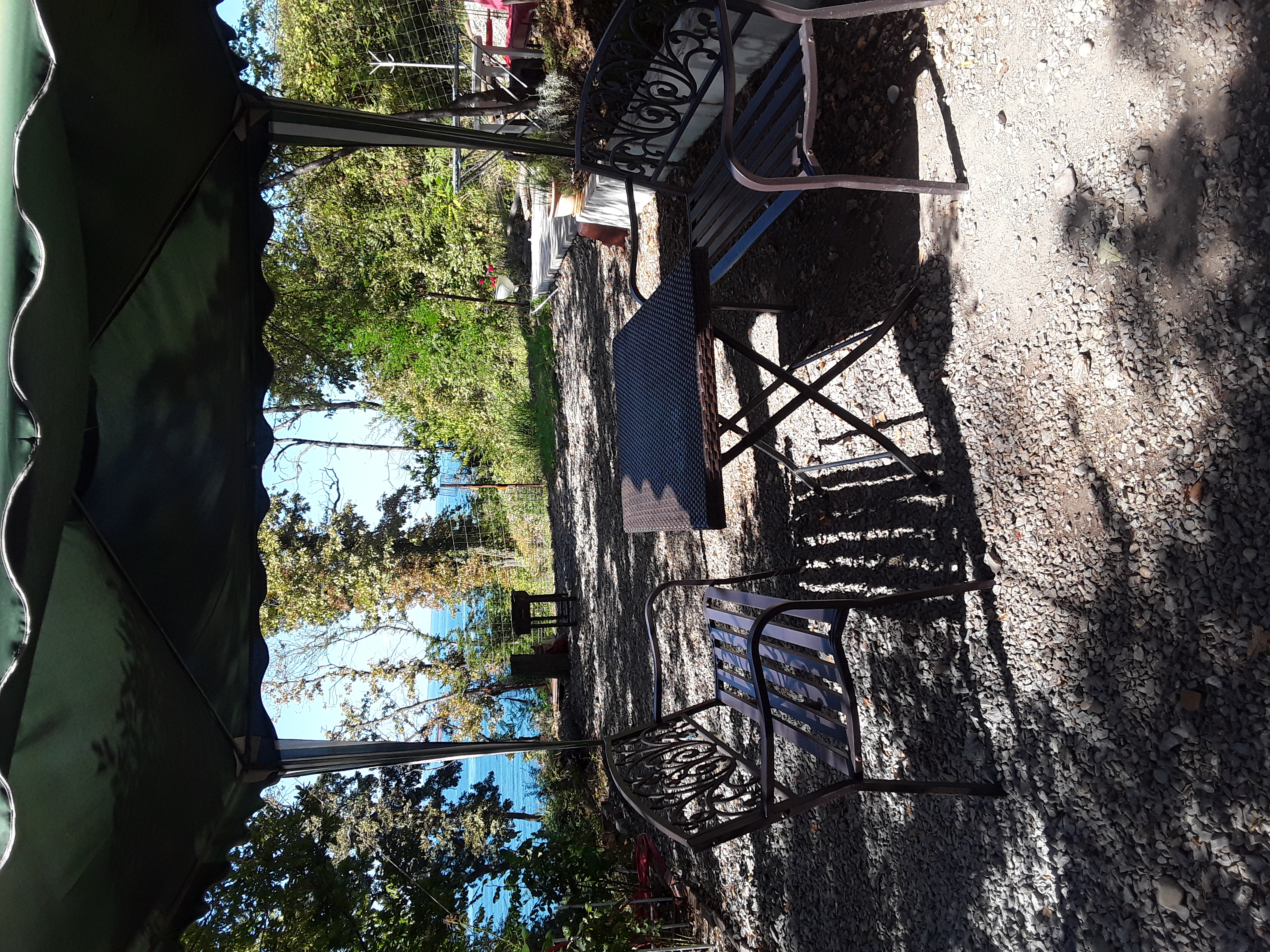 Фото Галина-чайка