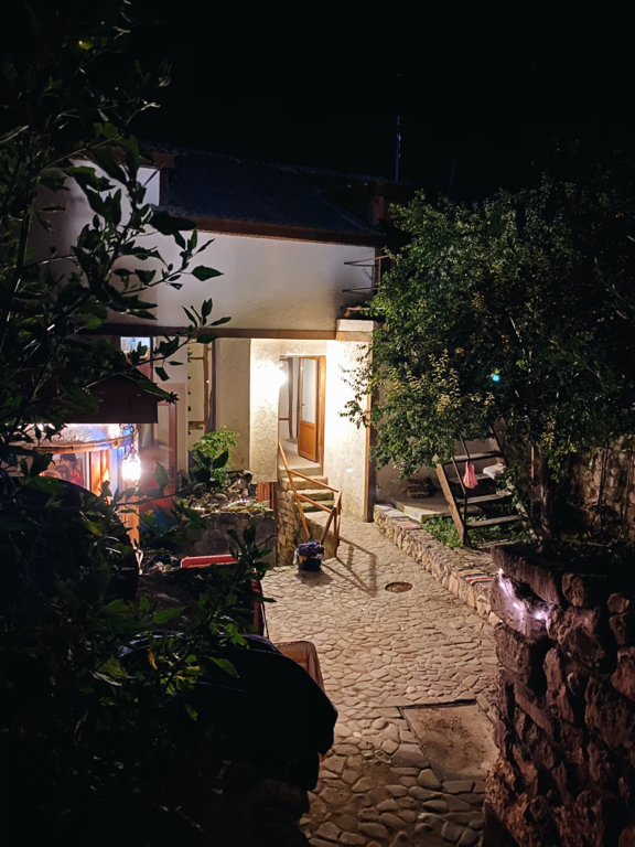 Фото Лисьи сны