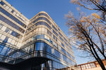 Social Quantum (Chapaeva Street, 15к2В), it company