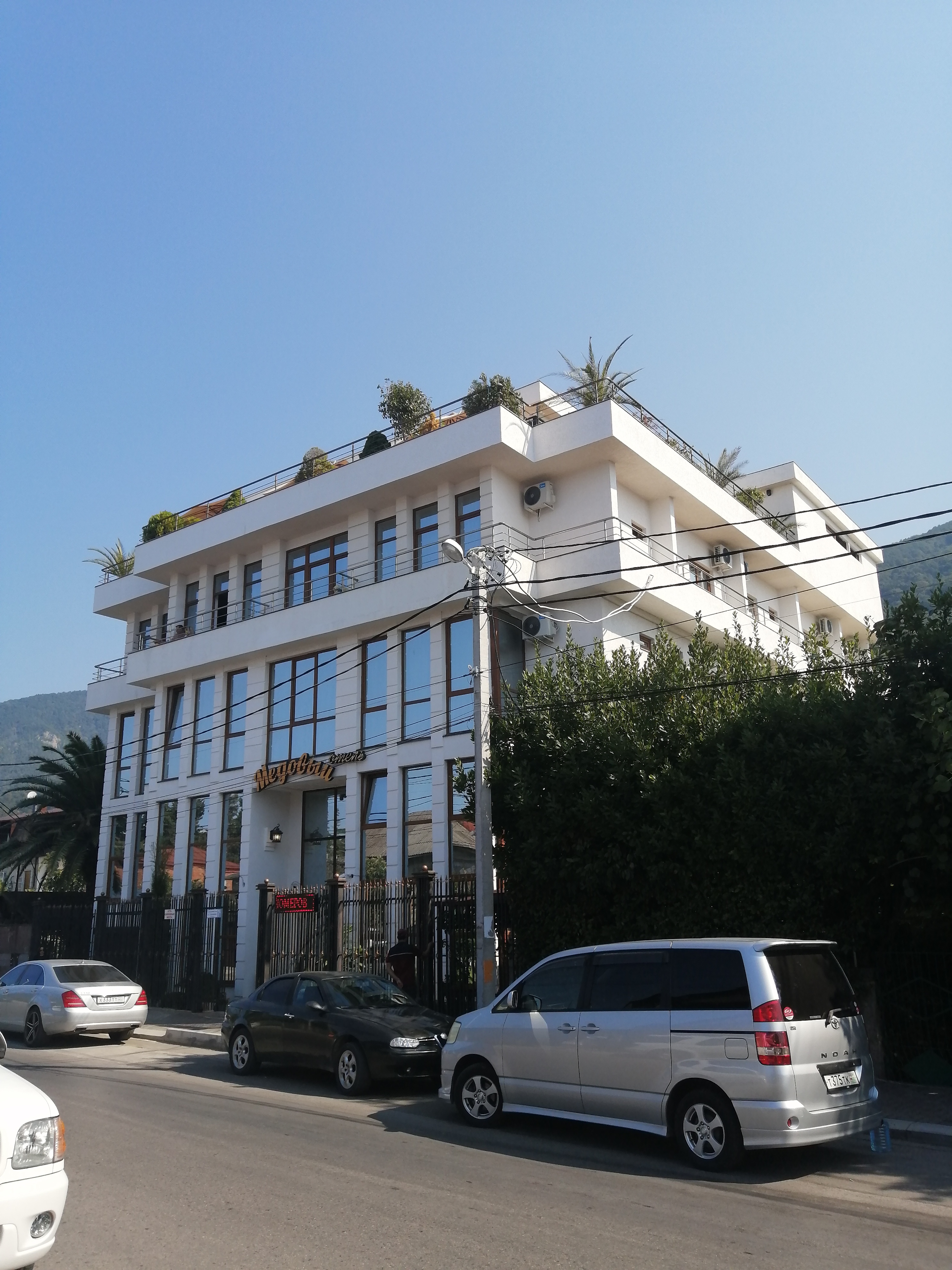 Фото Медовый