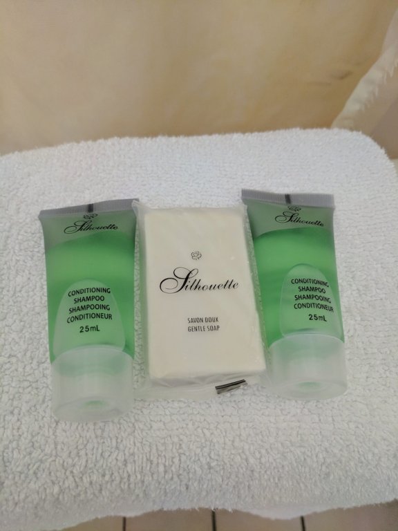 Фото Diplomat Inn