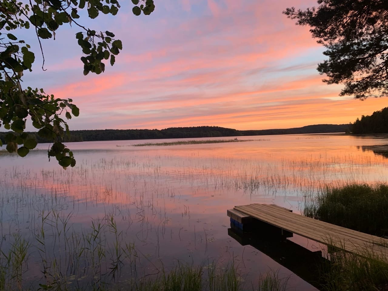 Фото Фазенда Глухомань