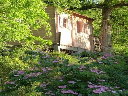 La Maison Aux Fleurs