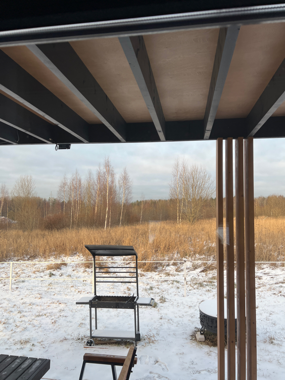 Фото Зеленый лес