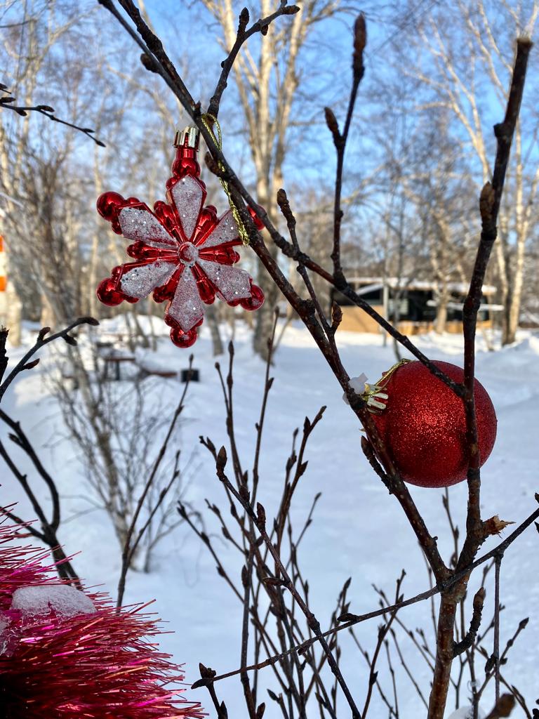 Фото Солнечная