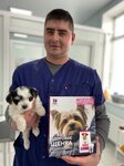 Ryzhiy Kot (Izhevsk, Baryshnikova Street, 9), clínica veterinaria