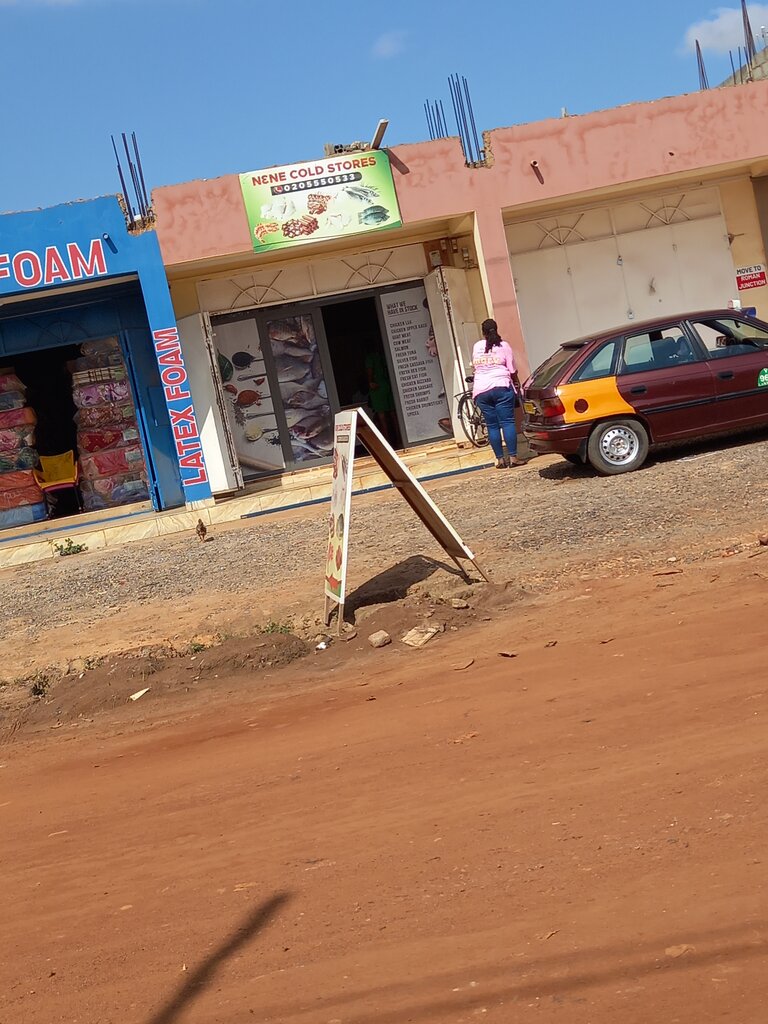 Frozen food products Nene cold store, Earth, photo