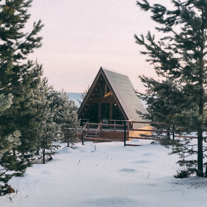 Фото Ёлки Кэмп