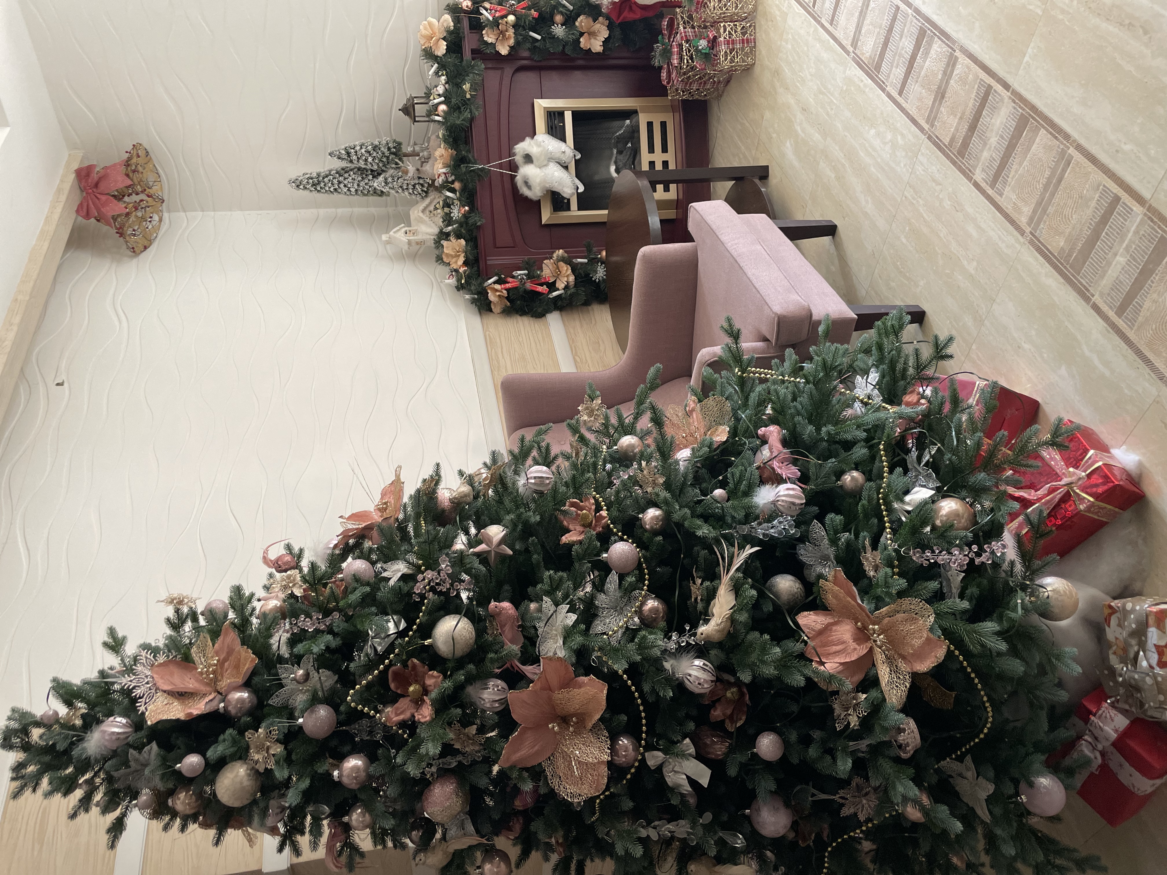 Фото Фламинго