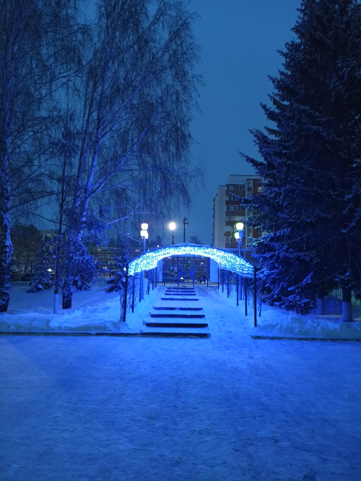 Фото Шифалы