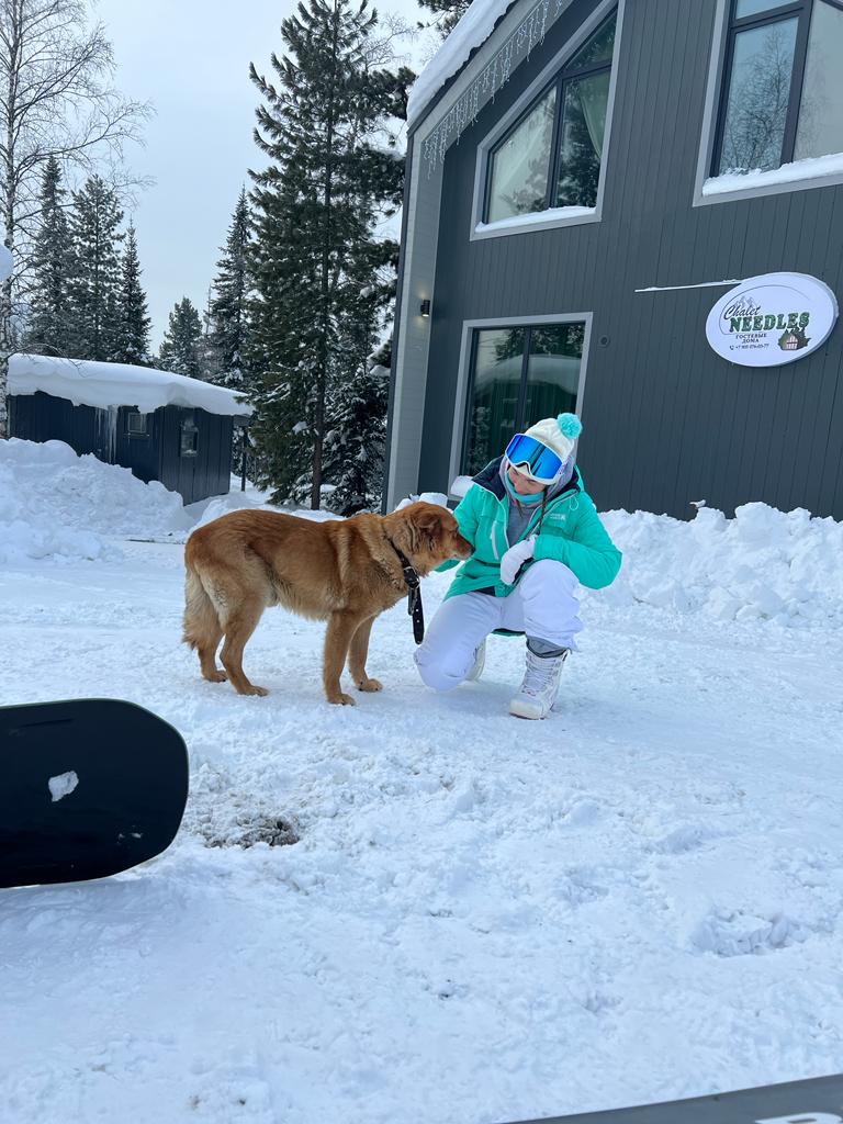 Фото Chalet Needles