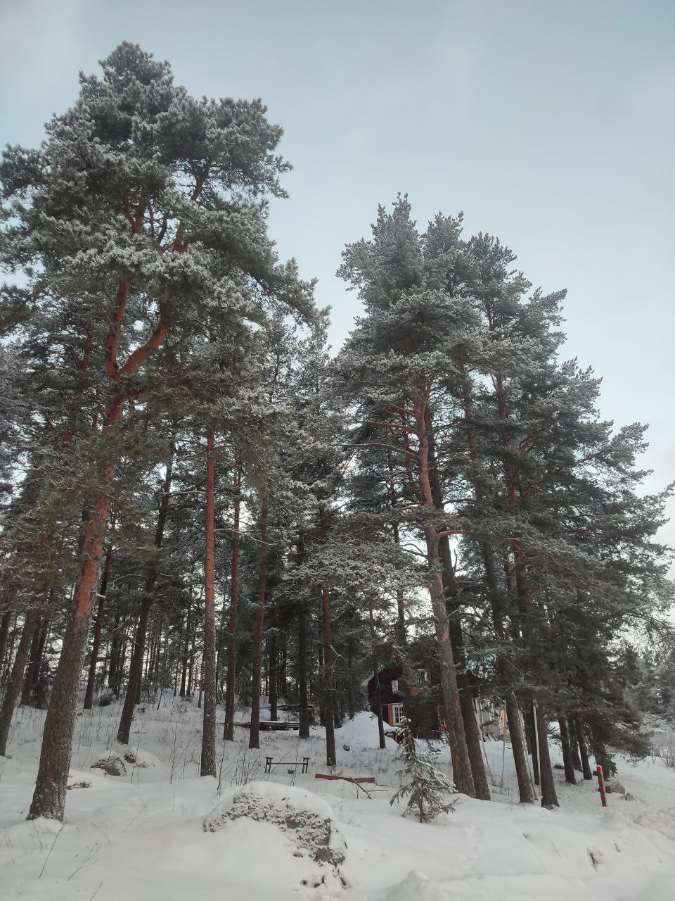 Фото Хутор Milka