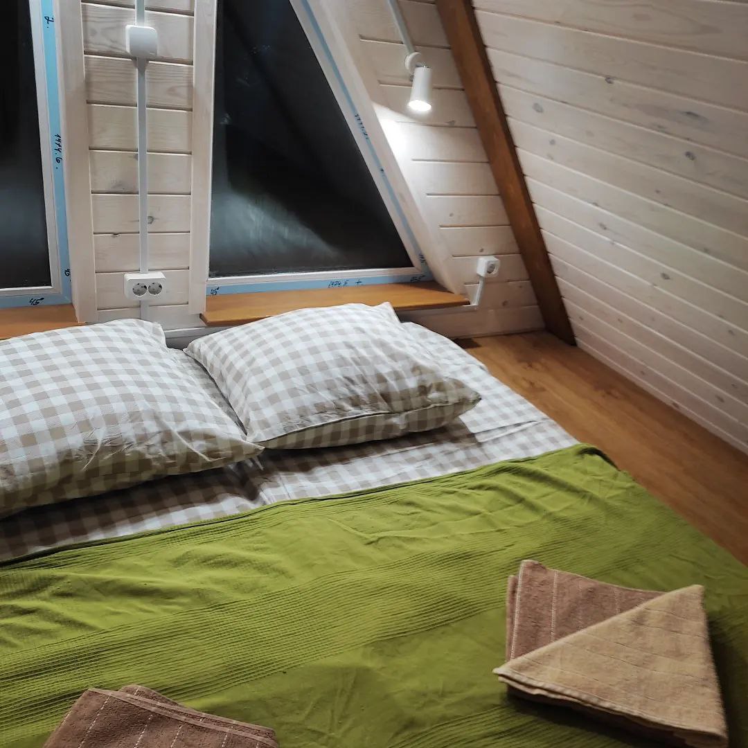 Фото Бурундуки